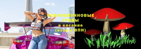 2c-b Верхний Тагил