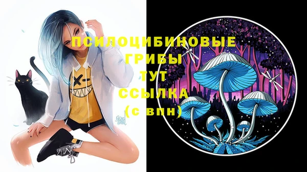 ешки Волосово
