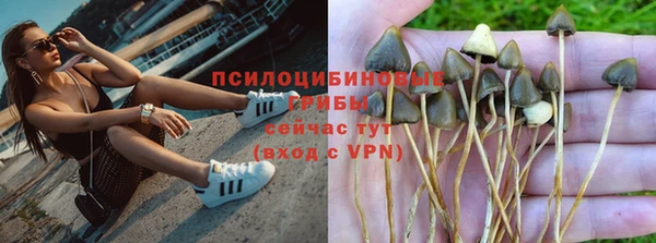 ешки Волосово