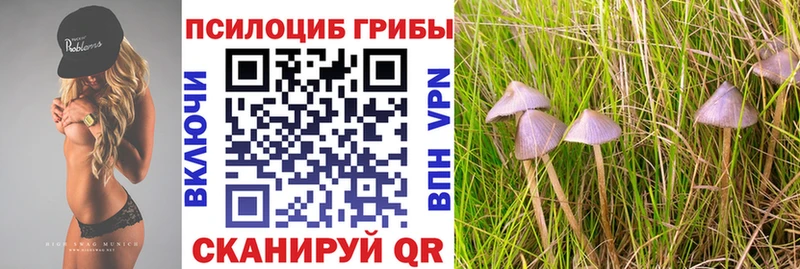 Псилоцибиновые грибы MAGIC MUSHROOMS  Коломна 